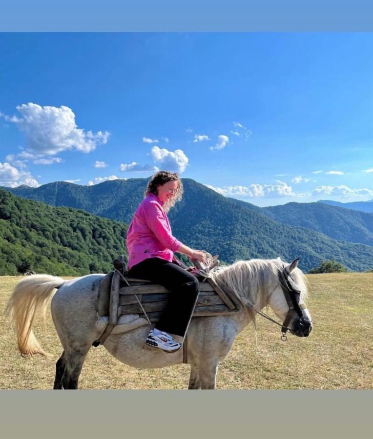Вилла Katun Lanista-Kolibe Bogavac Мойковац Экстерьер фото